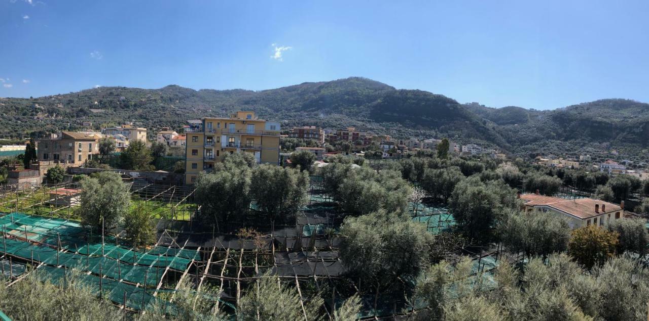 Le Muse Suite Sorrento Dış mekan fotoğraf