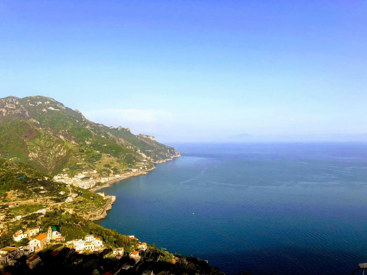 Le Muse Suite Sorrento Dış mekan fotoğraf