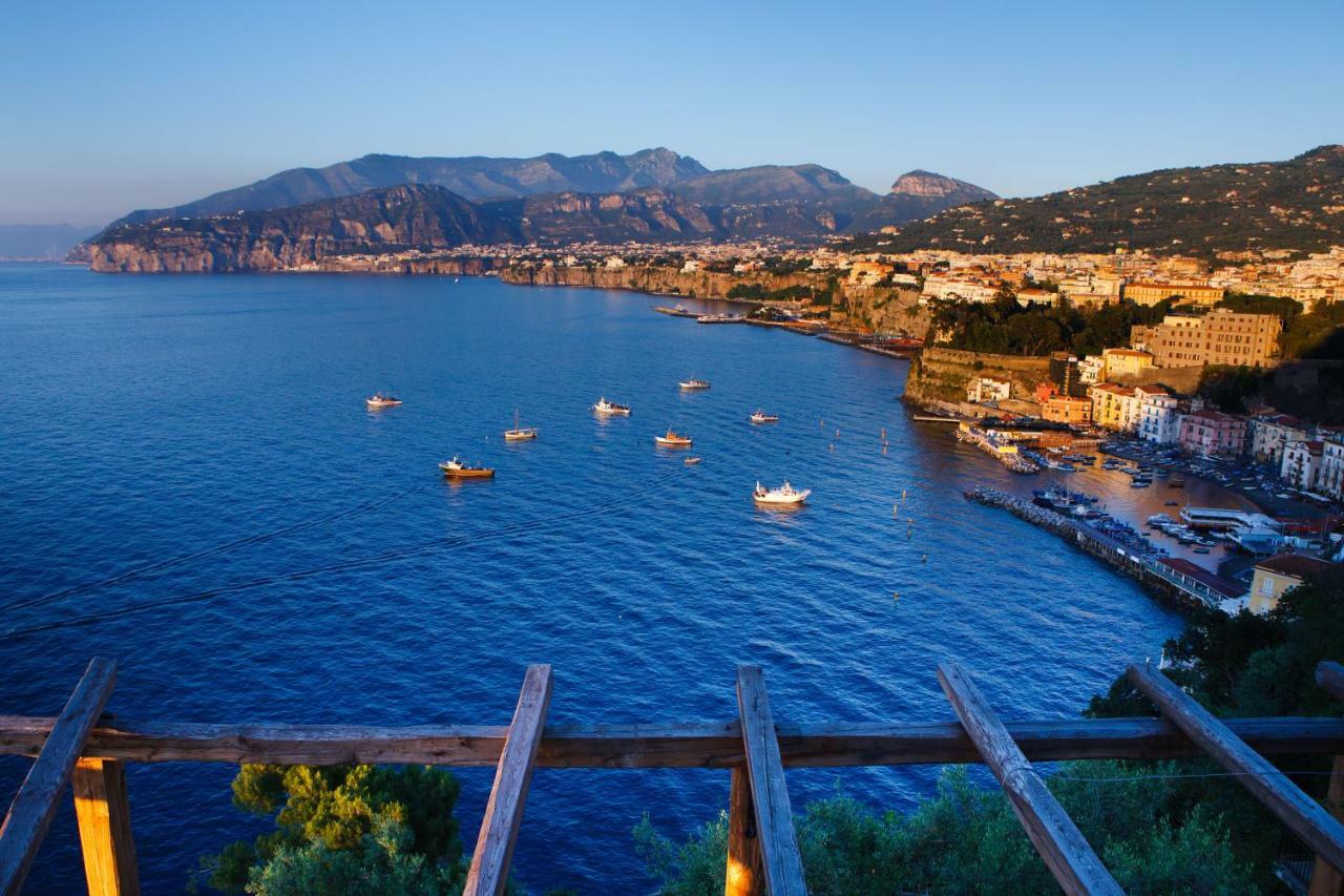 Le Muse Suite Sorrento Dış mekan fotoğraf